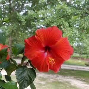 Meet your Posher, Paula